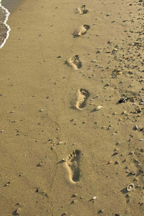 footprints footprints